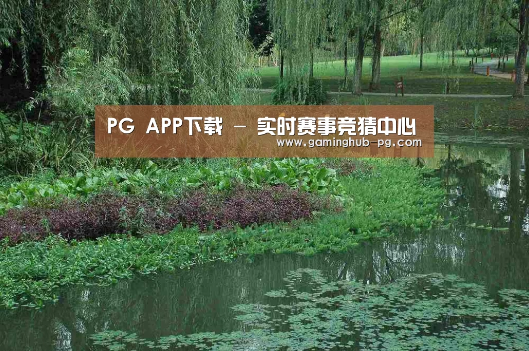 案例展示一(图1)