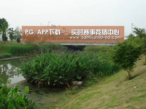 案例展示四(图1)