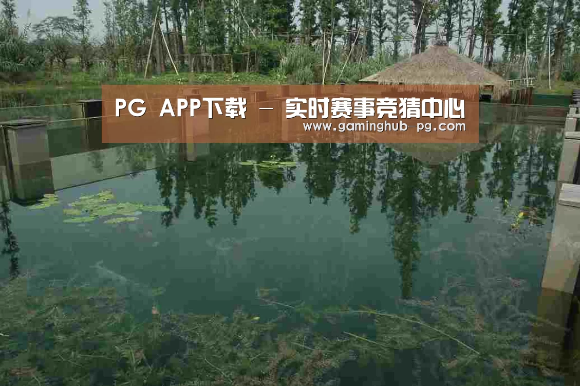 案例展示二(图1)