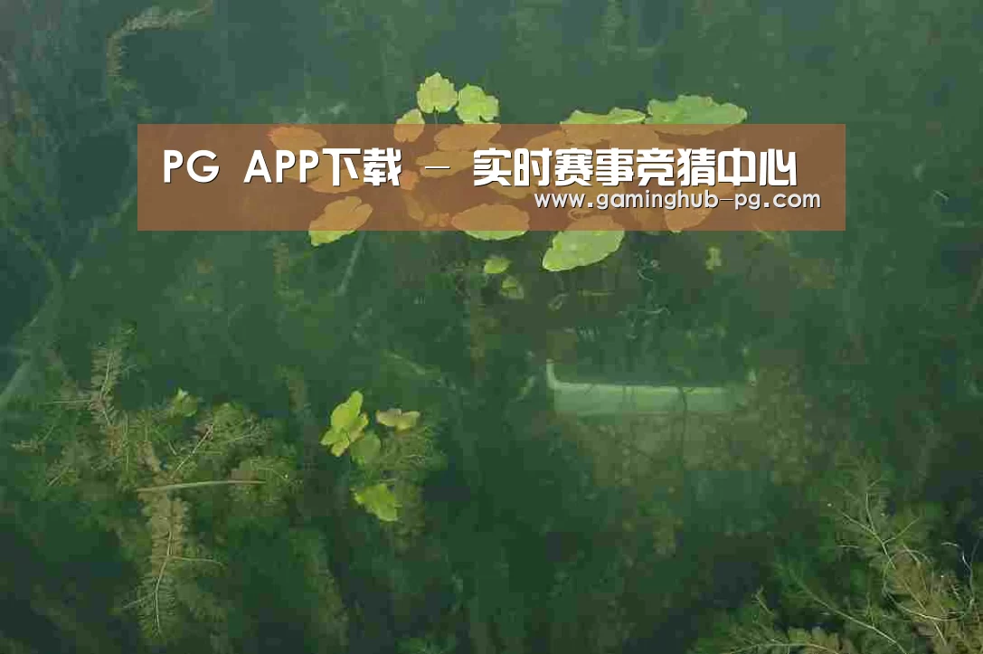 案例展示三(图1)