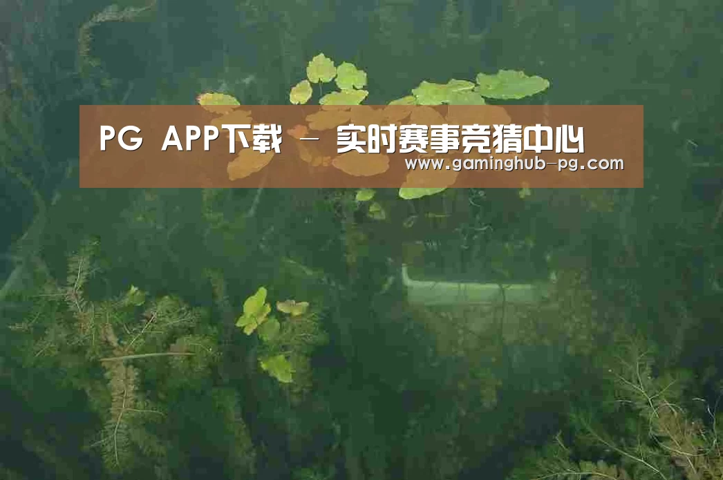 案例展示三