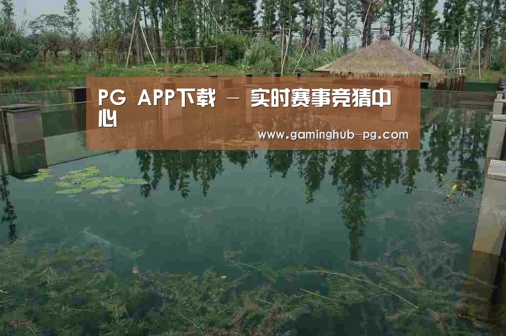 案例展示二