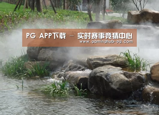 案例展示五