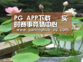 产品名称一