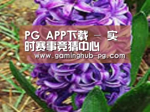 产品名称八