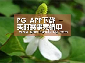 产品名称三