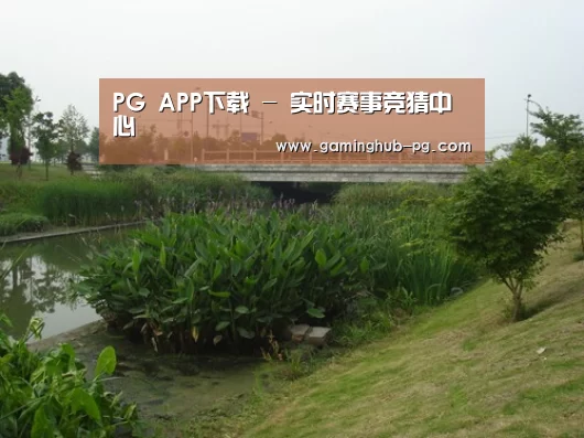 案例展示四