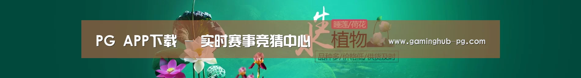 鲜花水草花卉网站模板