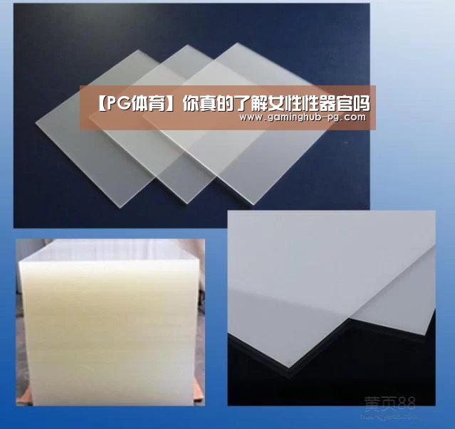 【PG体育】你真的了解女性性器官吗(图2) PG官网