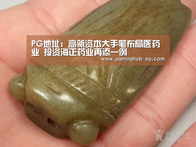 PG地址