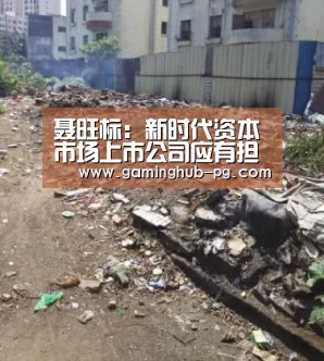 聂旺标:新时代资本市场上市公司应有担当作为_PG官网(图2) PG官网